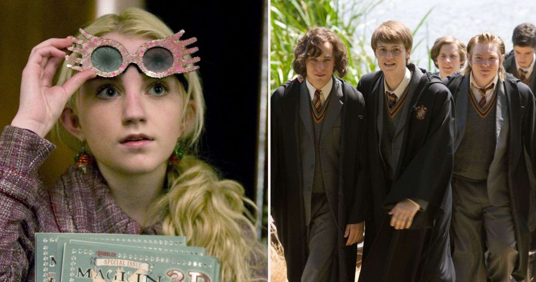 10 Harry Potter Characters Who Would Have Done Better In ...
