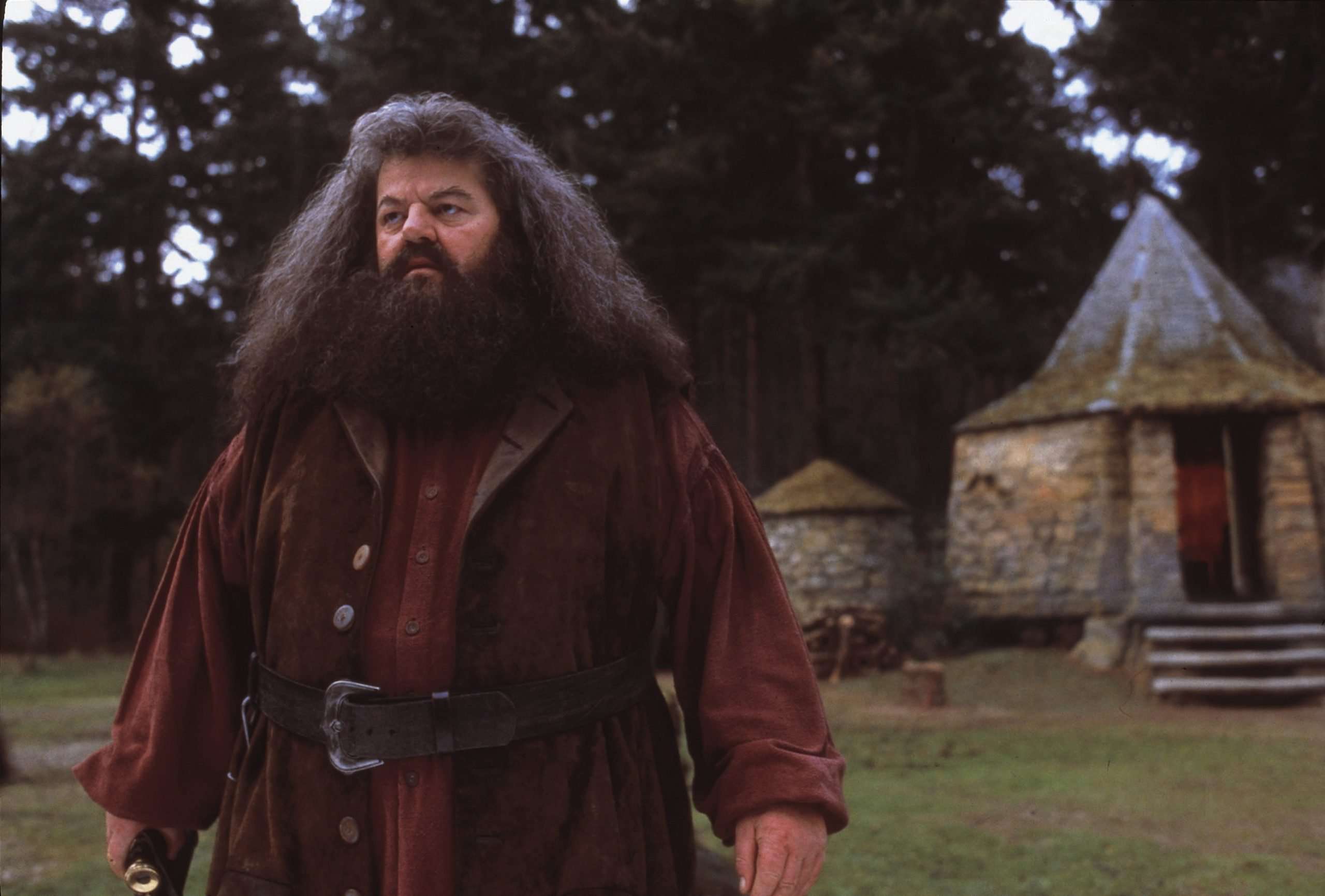 20 Larger Than Life Facts About Rubeus Hagrid
