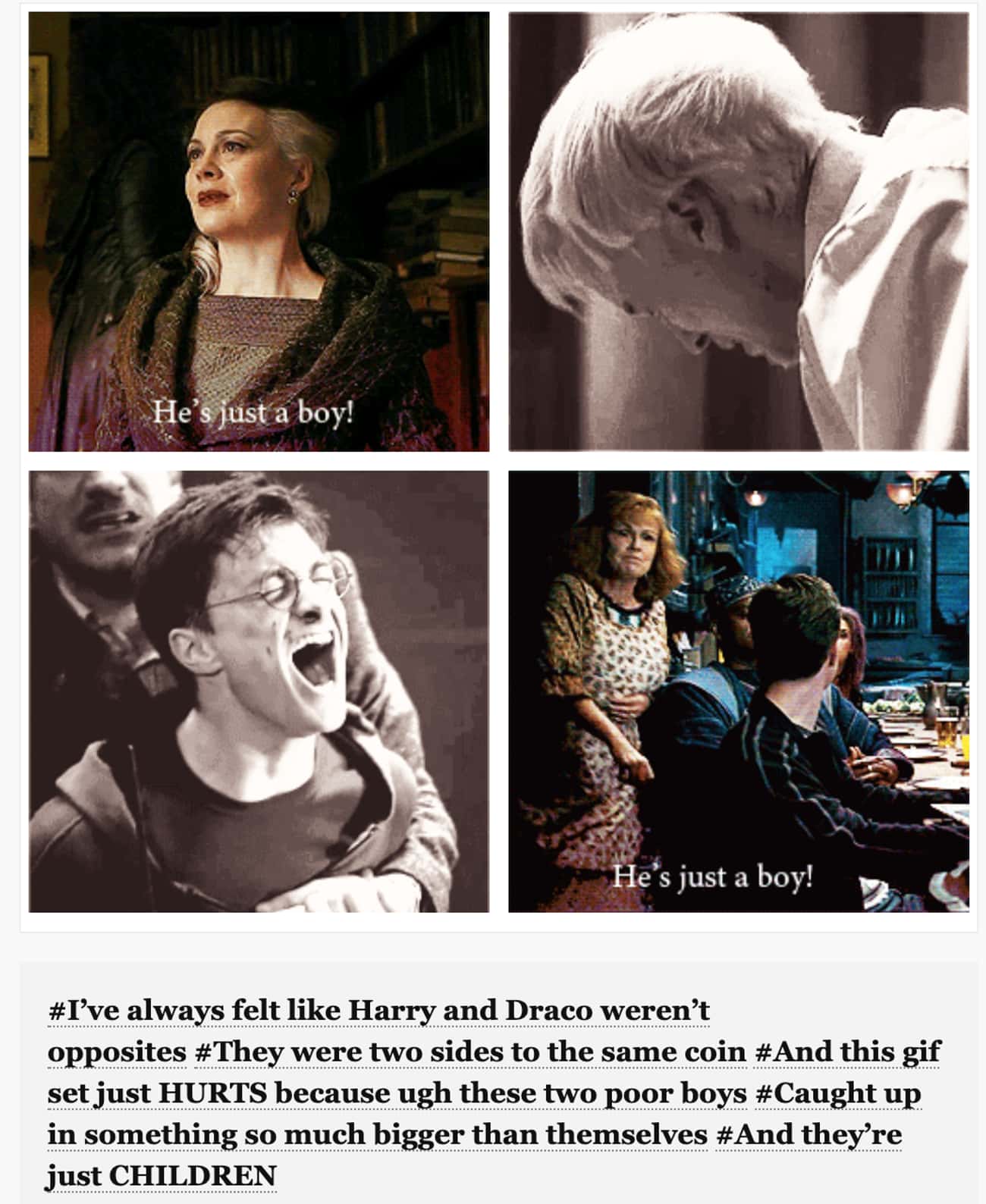 22 Posts That Prove Harry Potter Should Have Ended Up With ...