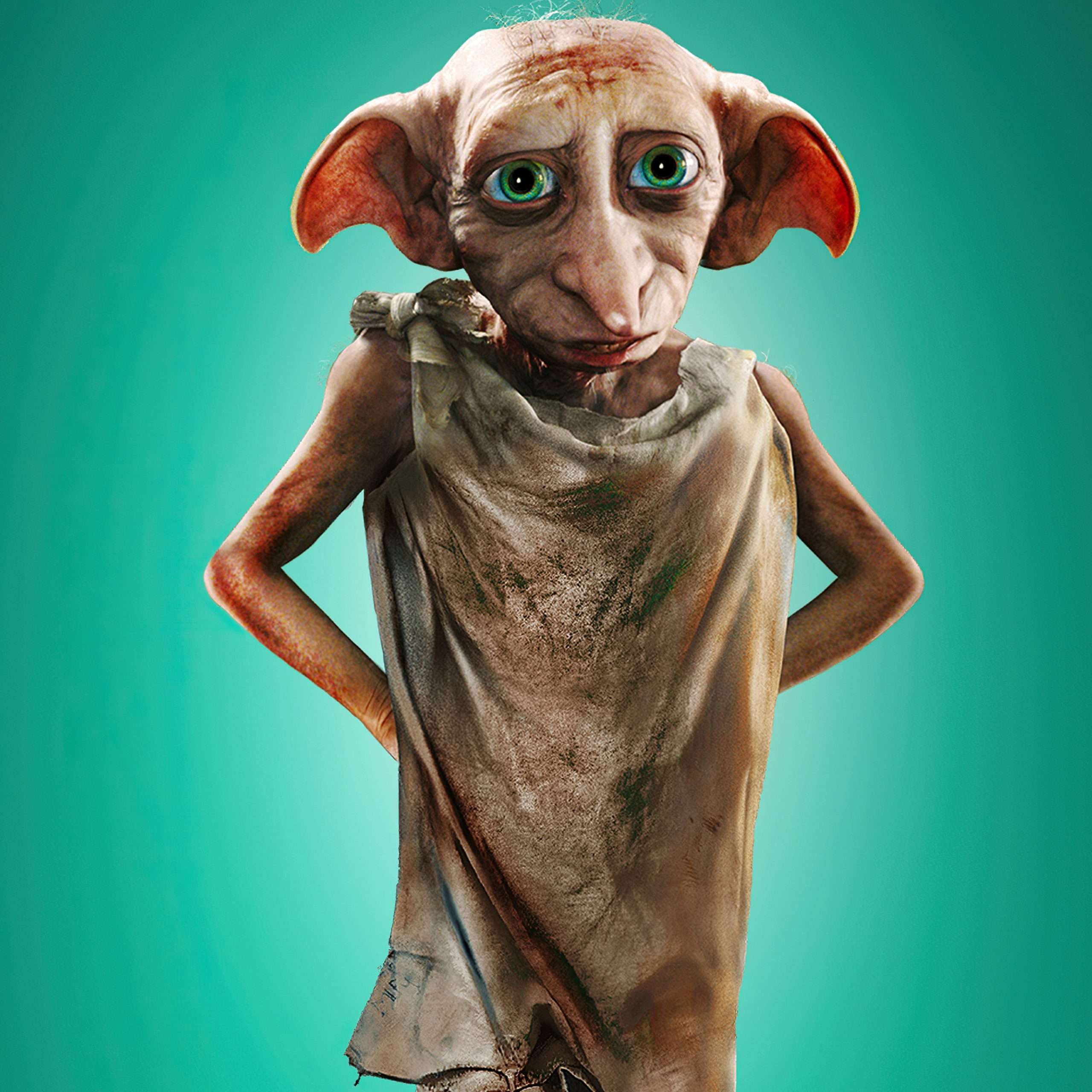 2932x2932 House Elf Dobby In Harry Potter And Fantastic ...