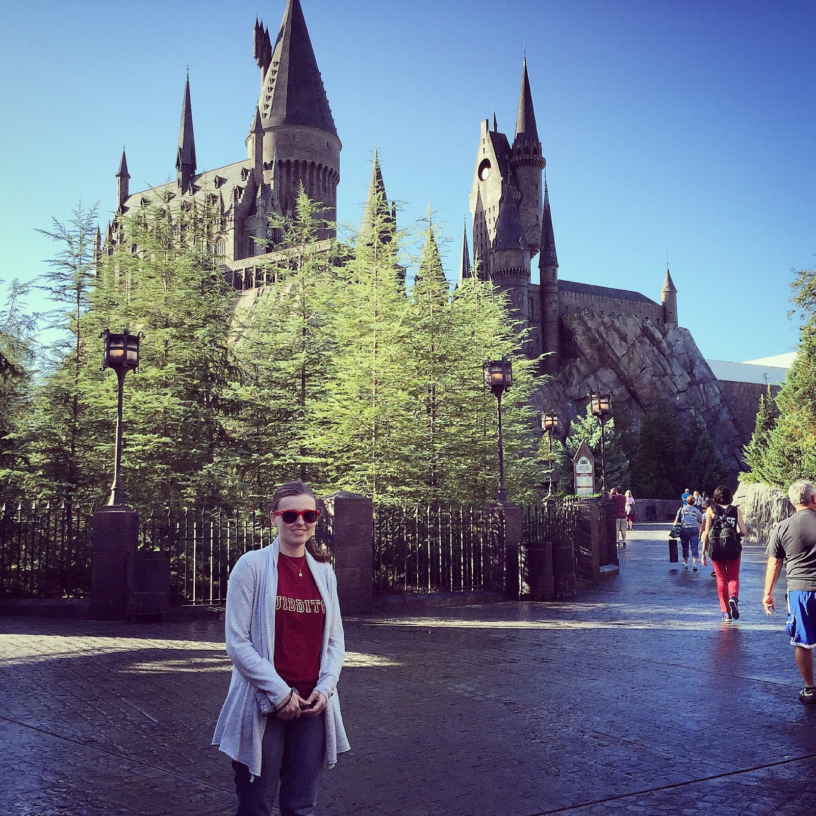 designersmirage: Fast Pass Hotels Harry Potter Orlando