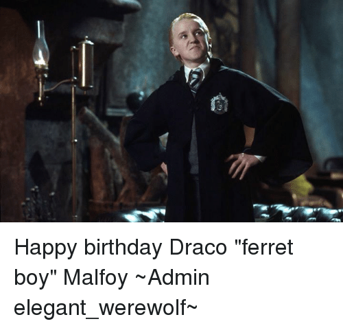 Happy Birthday Draco Ferret Boy Malfoy ~Admin Elegant ...