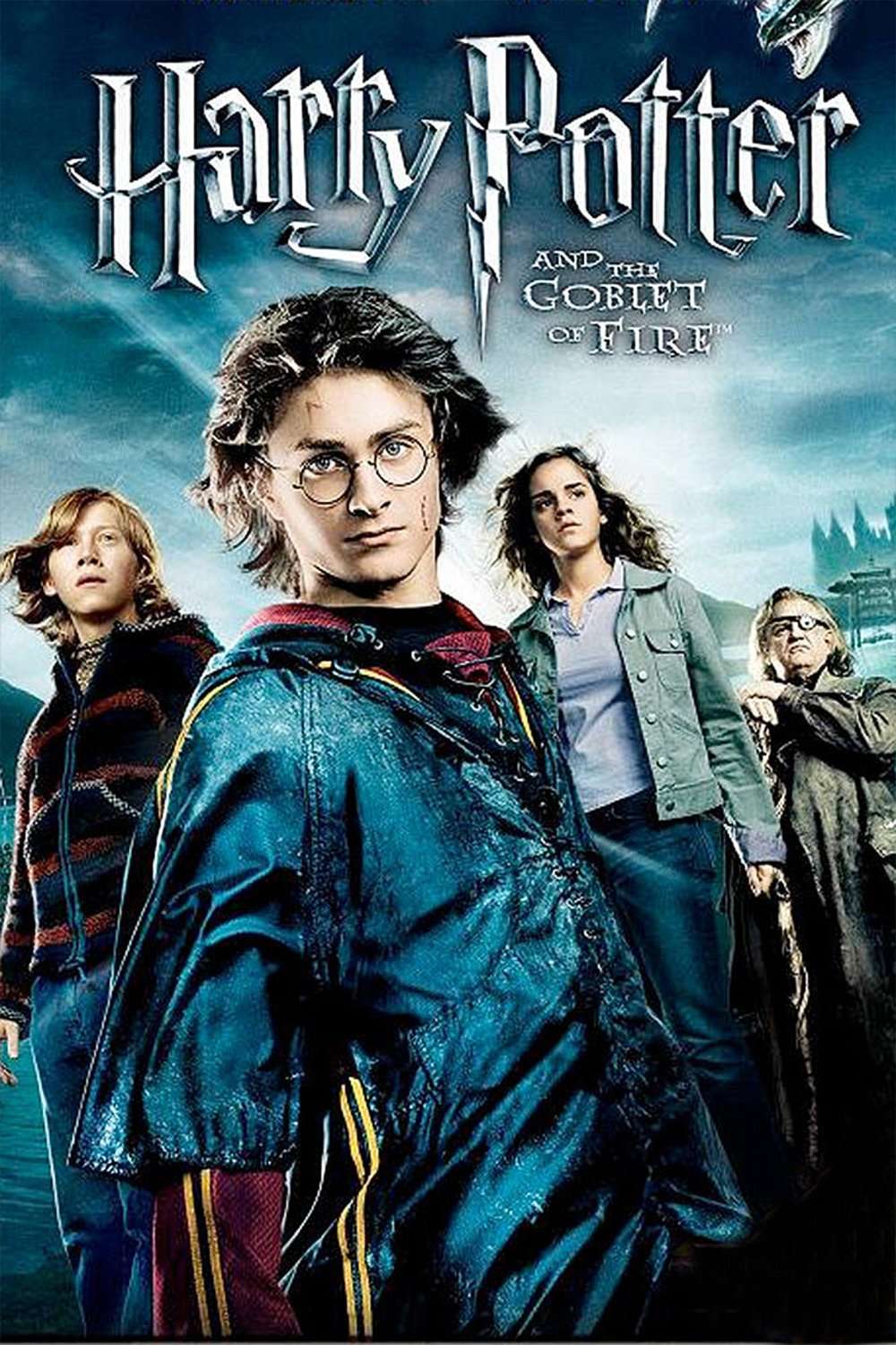 Harry Potter and the Goblet of Fire (Hindi) (VCD)