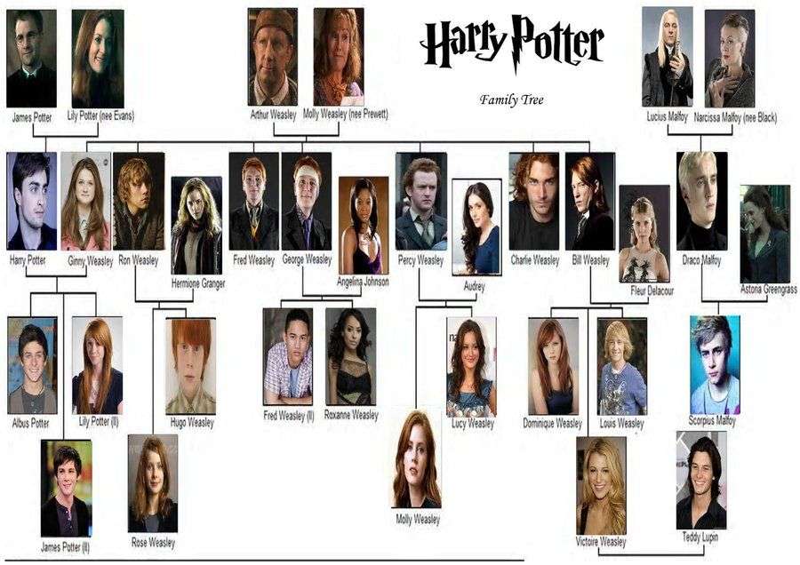 Harry Potter Family Tree by MooyongRocks