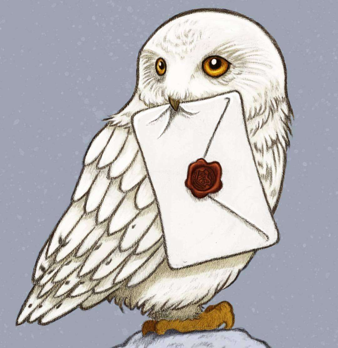 Harry Potter Hedwig Drawing at GetDrawings