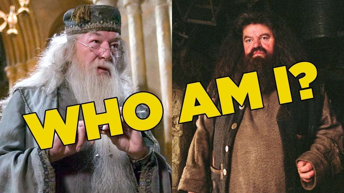 Harry Potter Quiz: Who Am I