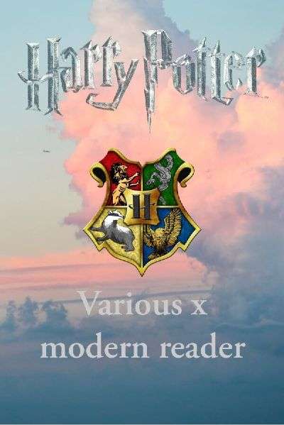 Harry Potter various x modern reader