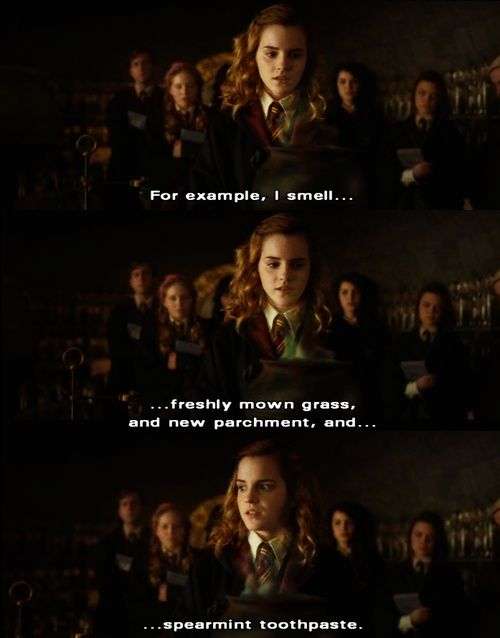 hermione granger amortentia