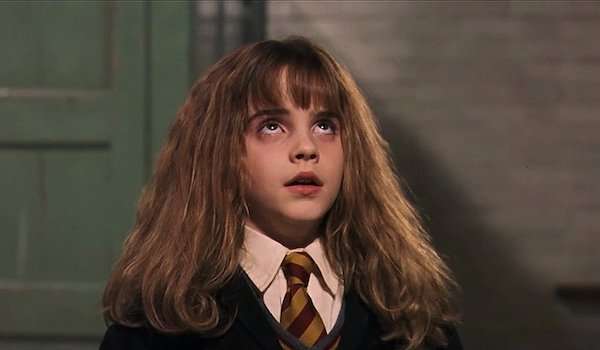 Hermione Granger used to ruin takes during Harry Potter