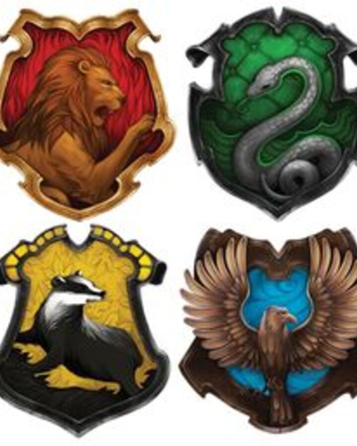 Hogwarts House Colors