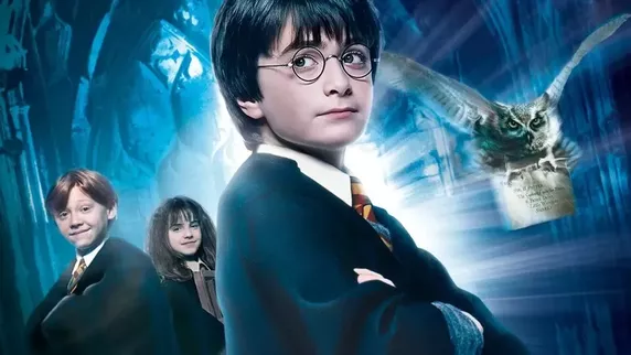 How many parts Harry Potter movie have till date?