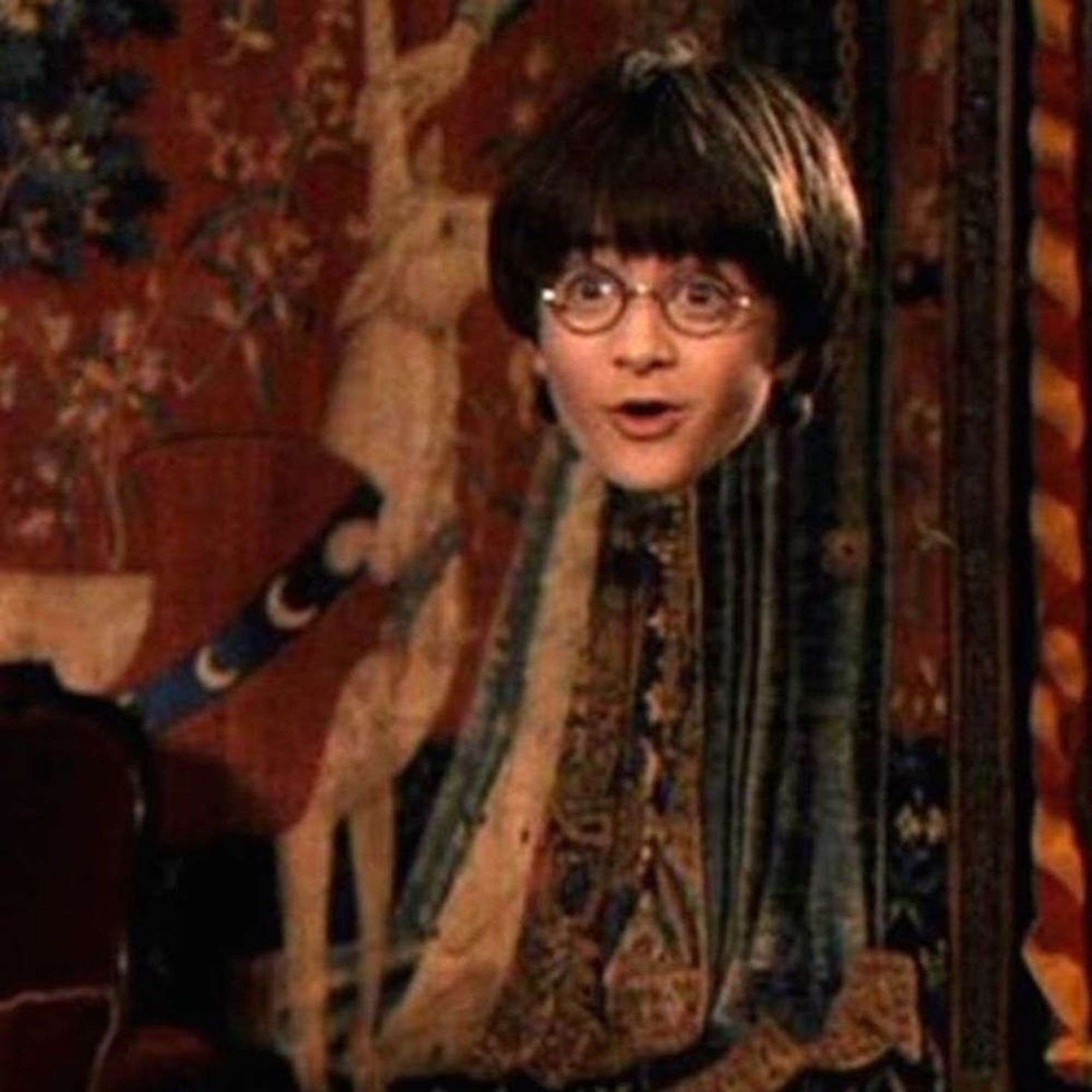 OMG: Harry Potterâs Invisibility Cloak May Actually Be a ...