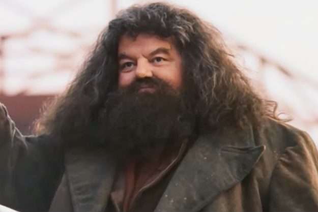 Remember Hagrid from Harry Potter? This is what actor ...