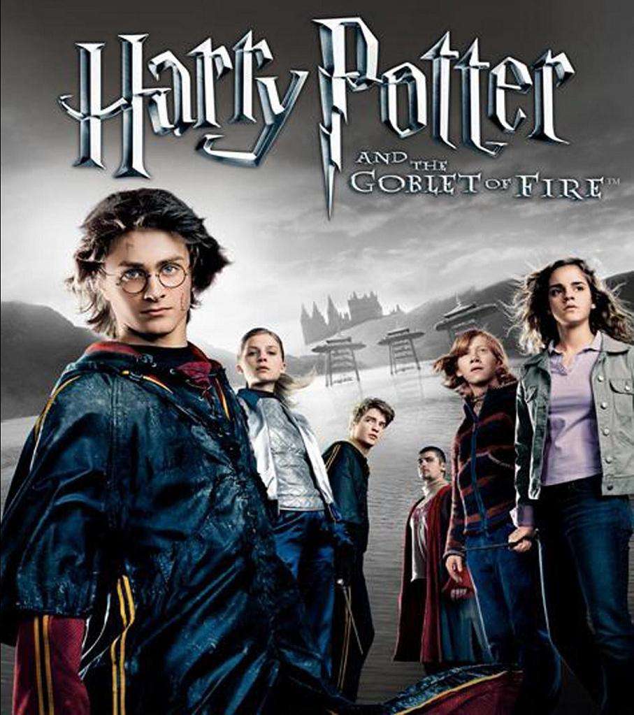 Software House: Harry Potter and the Goblet of Fire