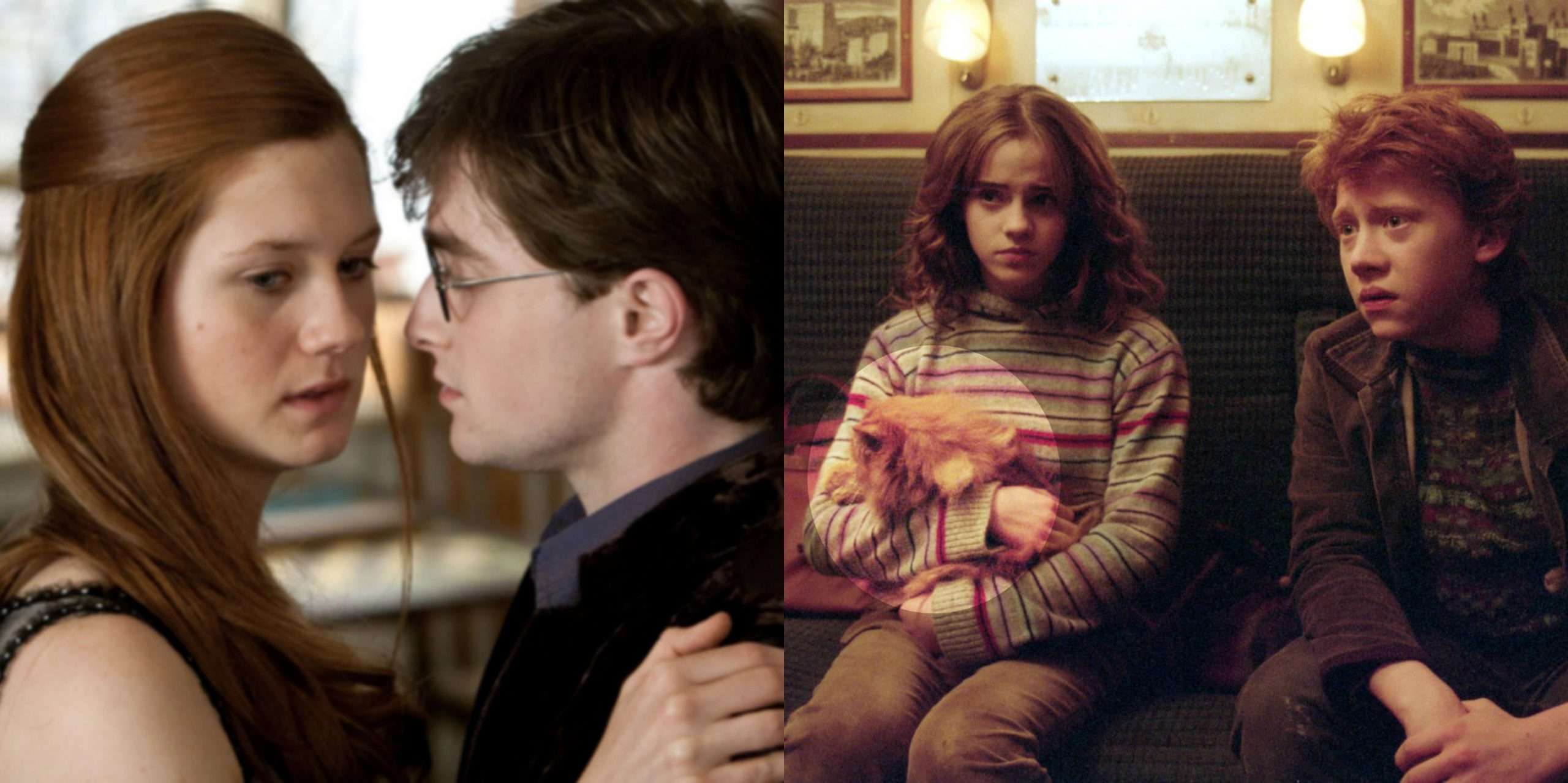 The Craziest Harry Potter Fan Theories That Will Shock ...