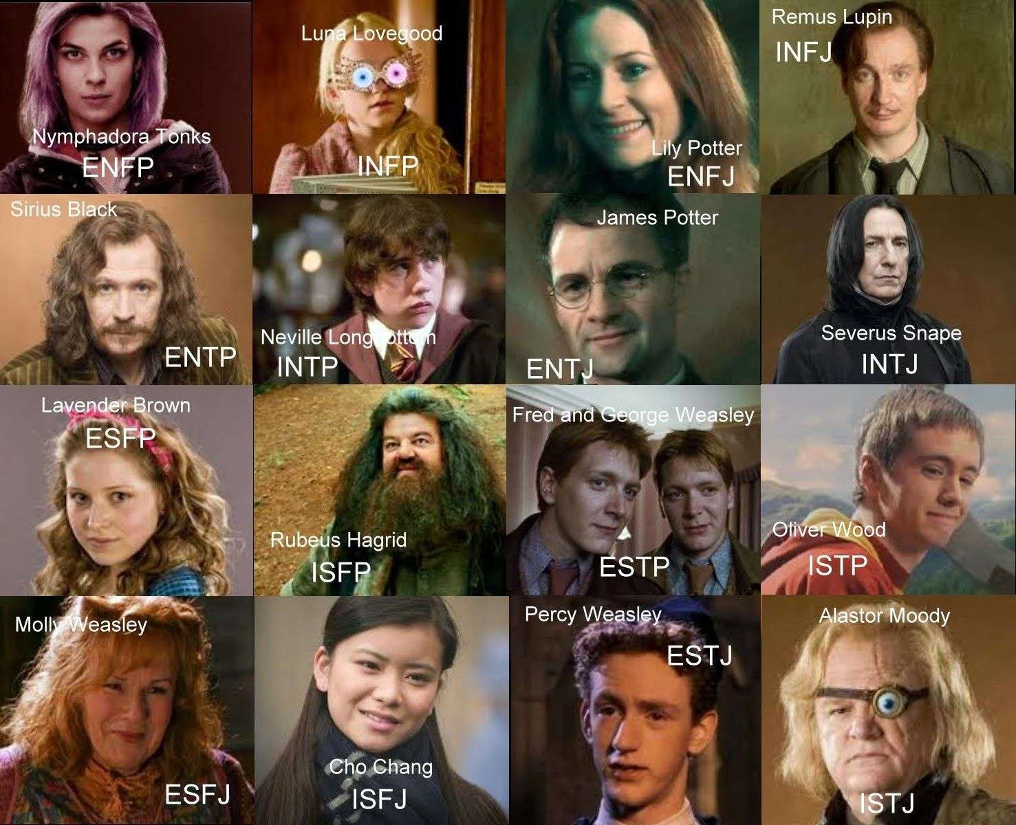 The Erudite Ravenclaw: Myers Briggs and Harry Potter ...