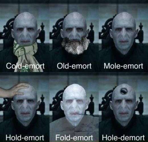 The many faces of Lord Voldemort