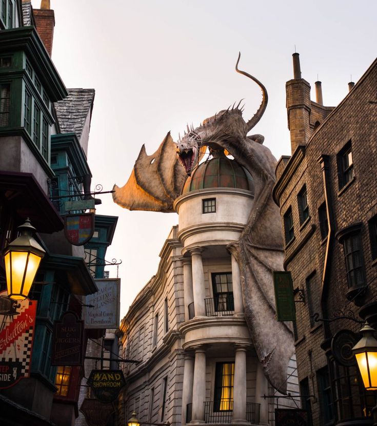 The Wizarding World of Harry Potter â Twin Perspectives