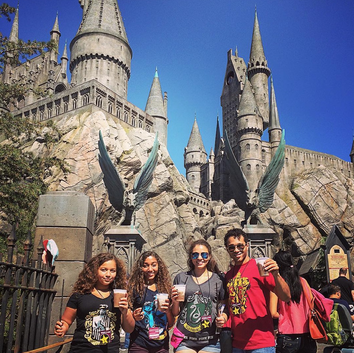 The Wizarding World of Harry Potter, Hollywood
