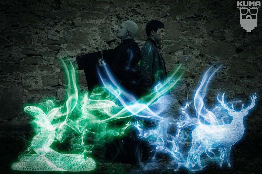Voldemort and Harry potter with patronus