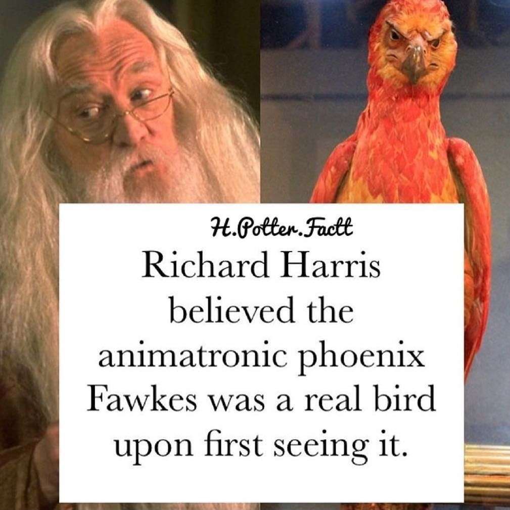 What Happened To Fawkes After Dumbledore Died