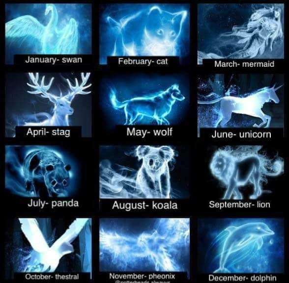 What is your Patronus?