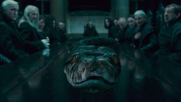 What : Q What is the name of Voldemort s prized snake ...