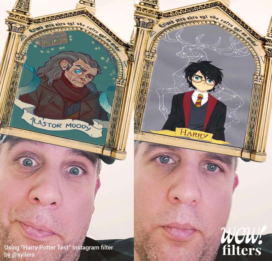 Which Harry Potter Character Are you? Instagram Filter