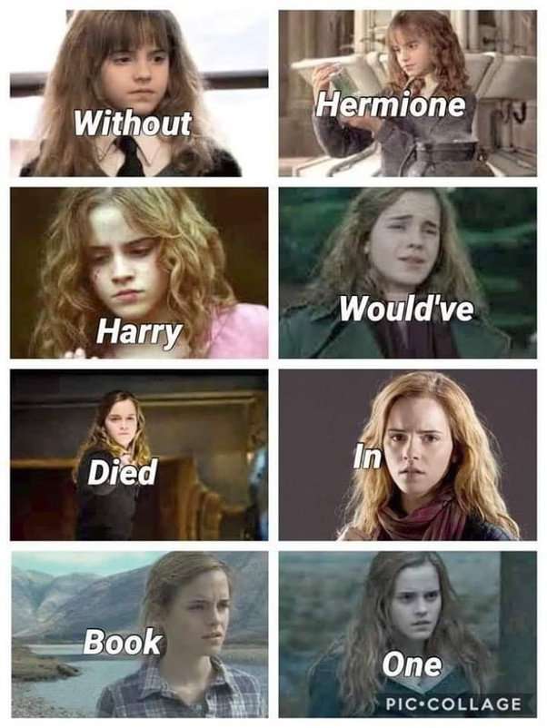 Why do a lot of Harry Potter fans dislike Hermione?