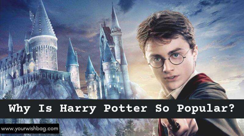 Why Is Harry Potter So Popular